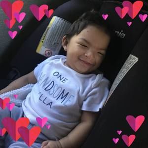 Meet your Posher, Antimeny